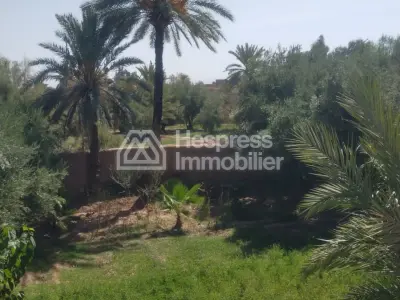 Maison de Lux a vendre a skoura , Ouarzazate