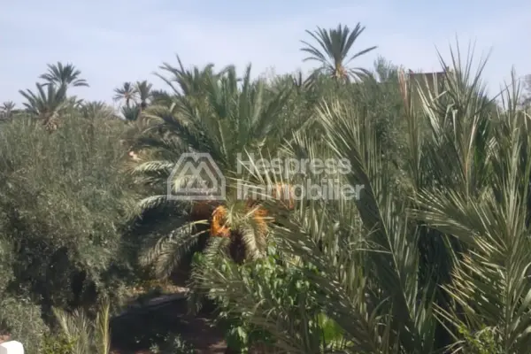 Maison de Lux a vendre a skoura ، ورزازات