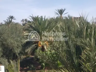 Maison de Lux a vendre a skoura , Ouarzazate