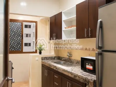 Furnished apartment for rent