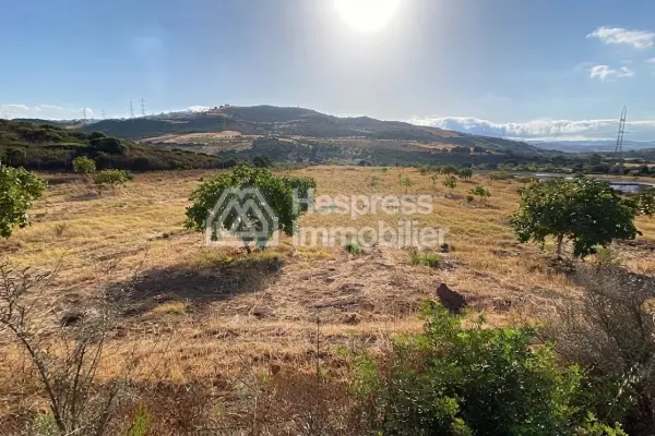 Purchase of land at Malloussa . Area 16500 m²