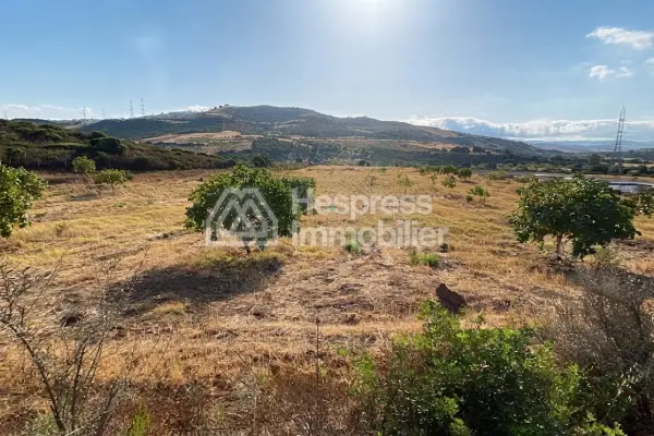 Purchase of land at Malloussa . Area 16500 m²