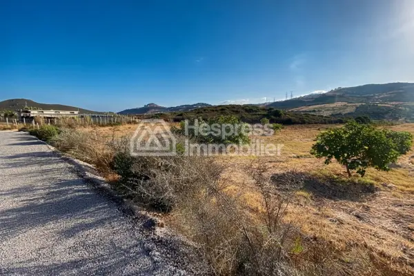 Purchase of land at Malloussa . Area 16500 m²