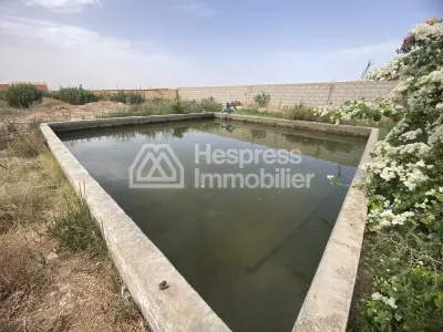 Luxury riad for sale, requiring renovation/operation, 660 m2 of covered space on 2 hectares between Agadir and Taroudant