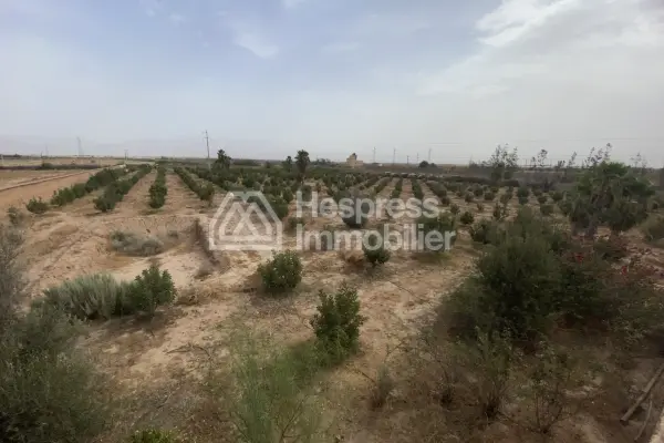 Luxury riad for sale, requiring renovation/operation, 660 m2 of covered space on 2 hectares between Agadir and Taroudant