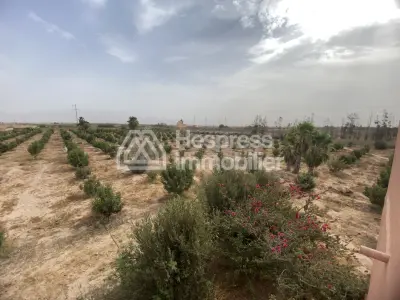 Luxury riad for sale, requiring renovation/operation, 660 m2 of covered space on 2 hectares between Agadir and Taroudant