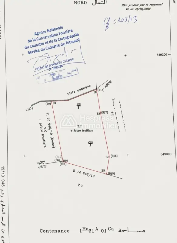 Registered plot of land of 13100m² for sale on the Ain Zarqa road - License for recreational project