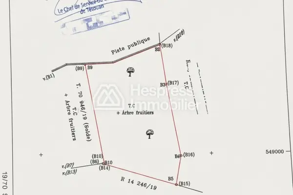 قطعة أرض مسجلة مساحتها 13100 متر مربع معروضة للبيع على طريق عين الزرقاء - رخصة لمشروع ترفيهي