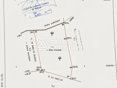 Registered plot of land of 13100m² for sale on the Ain Zarqa road - License for recreational project