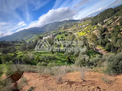 Registered plot of land of 13100m² for sale on the Ain Zarqa road - License for recreational project