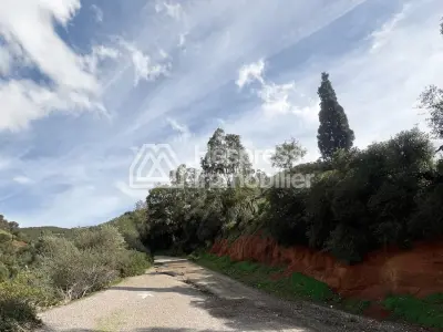 Registered plot of land of 13100m² for sale on the Ain Zarqa road - License for recreational project