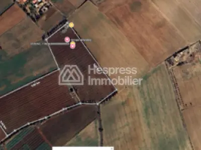 Terrain en zone industrielle Skhirat