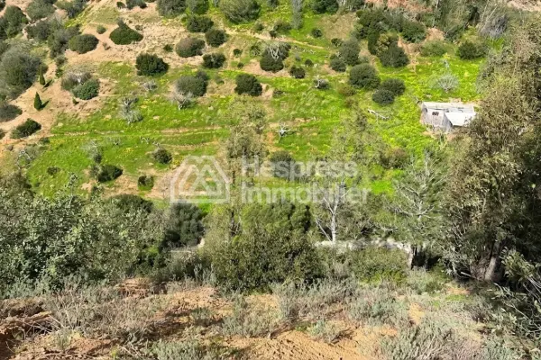 قطعة أرض مسجلة مساحتها 13100 متر مربع معروضة للبيع على طريق عين الزرقاء - رخصة لمشروع ترفيهي