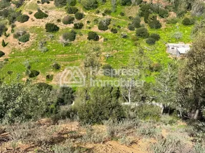 Registered plot of land of 13100m² for sale on the Ain Zarqa road - License for recreational project