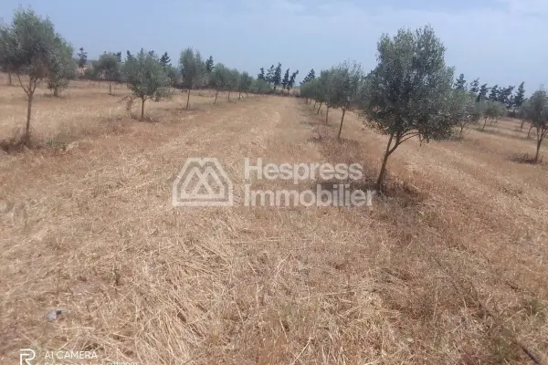 أرض في منطقة صناعية الصخيرات