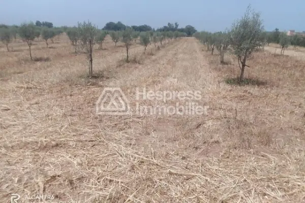 أرض في منطقة صناعية الصخيرات