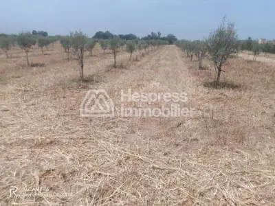 Terrain en zone industrielle Skhirat