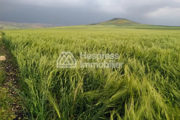 Agricultural land