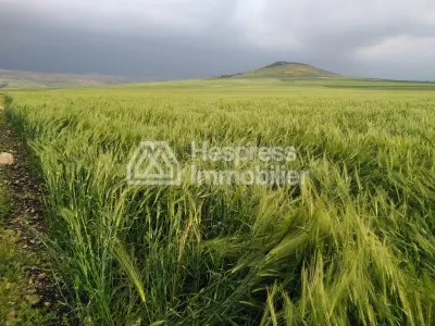 أرض زراعية