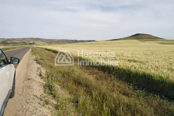 Agricultural land