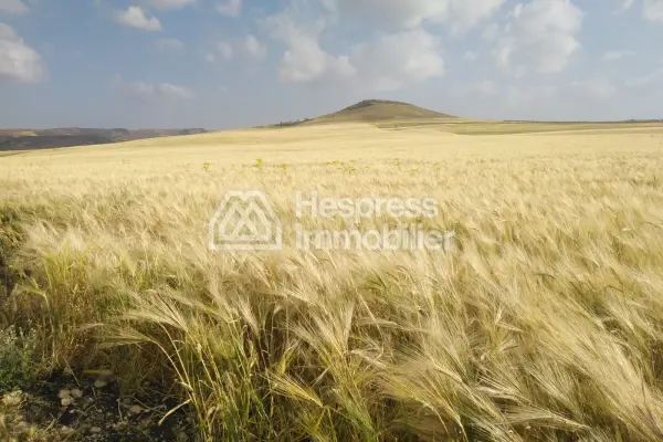 Agricultural land