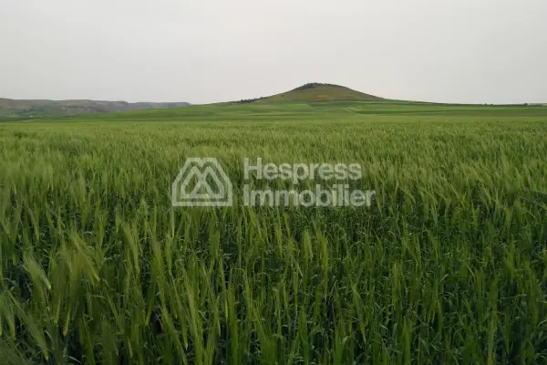 Agricultural land