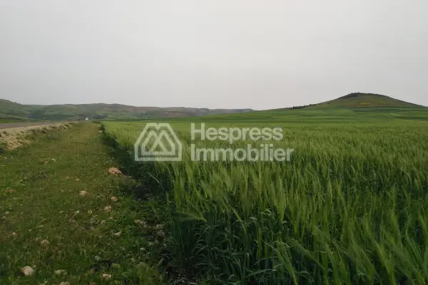Agricultural land