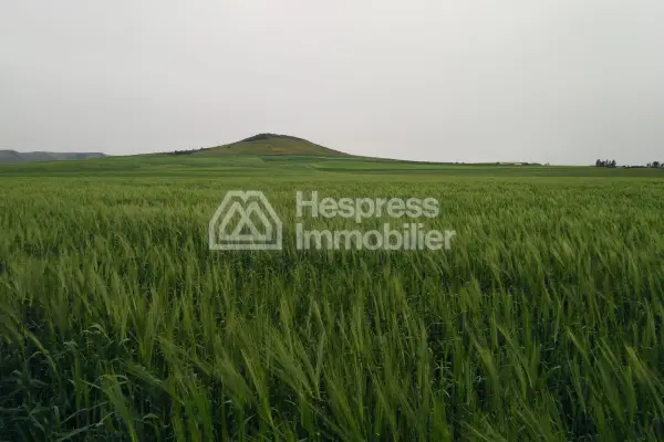 Agricultural land