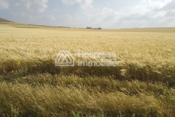 Agricultural land