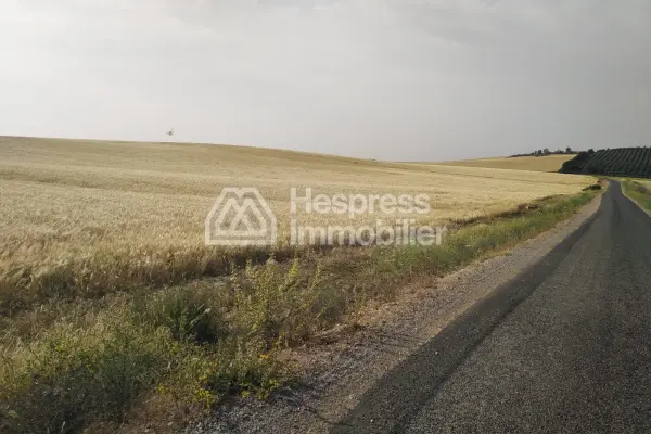Agricultural land