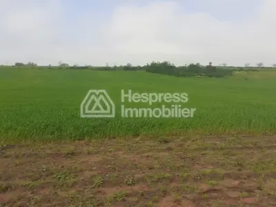 20 hectares for sale in Al-Khayata