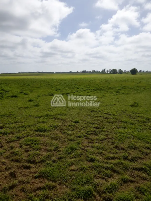 20 hectares for sale in Al-Khayata