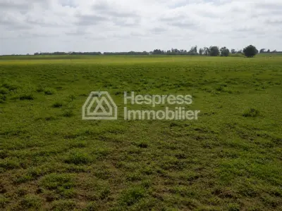 20 hectares for sale in Al-Khayata