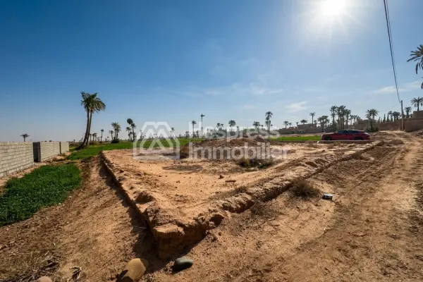 Terrain en vente à BAB ATLAS PALMERAIE