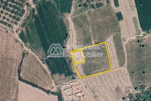 Terrain en vente à BAB ATLAS PALMERAIE