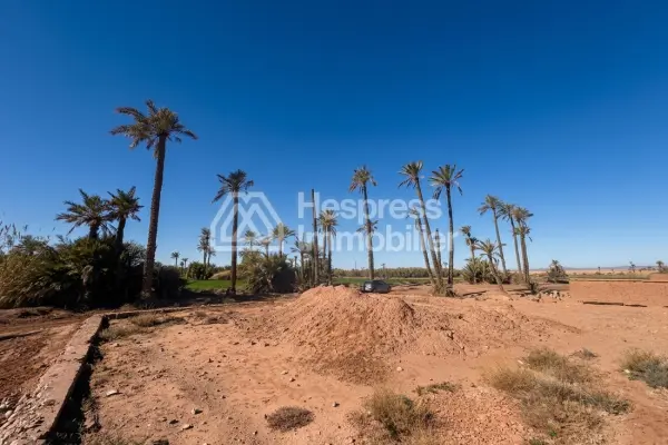 Terrain en vente à BAB ATLAS PALMERAIE