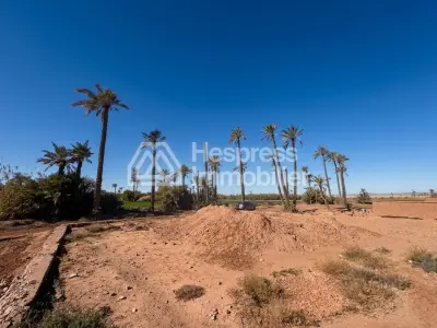 Land for sale in Bab Atlas Palmeraie