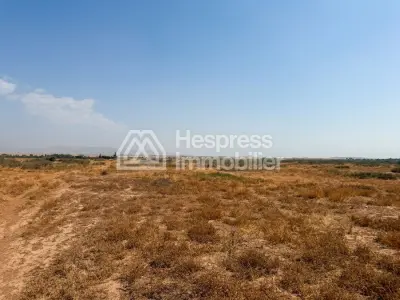 Terrain 1 hectare Route d’Amizmiz, Km 17