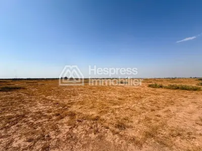 Terrain 1 hectare Route d’Amizmiz, Km 17