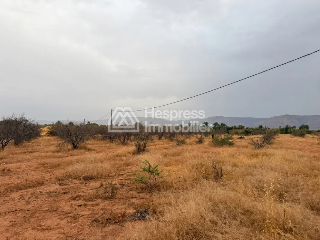 Terrain 2000 m² 20 min de Marrakech Vue Atlas