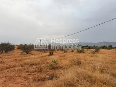 Terrain 2000 m² 20 min de Marrakech Vue Atlas