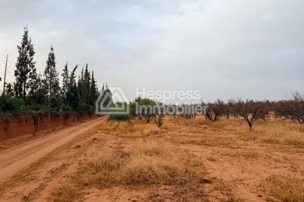 Terrain 2000 m² 20 min de Marrakech Vue Atlas