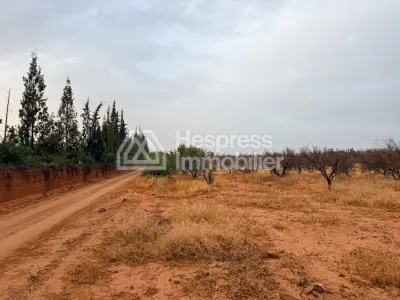 Terrain 2000 m² 20 min de Marrakech Vue Atlas