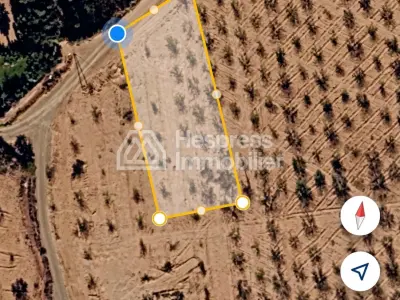 Terrain 2000 m² 20 min de Marrakech Vue Atlas