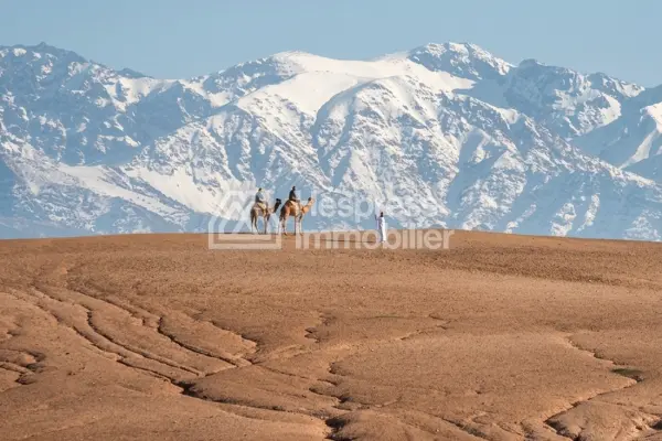 3 parcelles constructibles 1 ha vue atlas