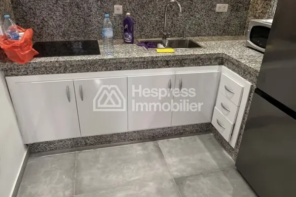 Location appartement meublé 2ch Refait à neuf