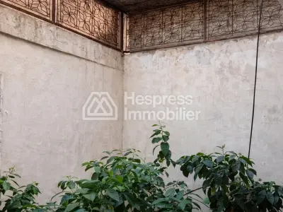 رياض لتجديد