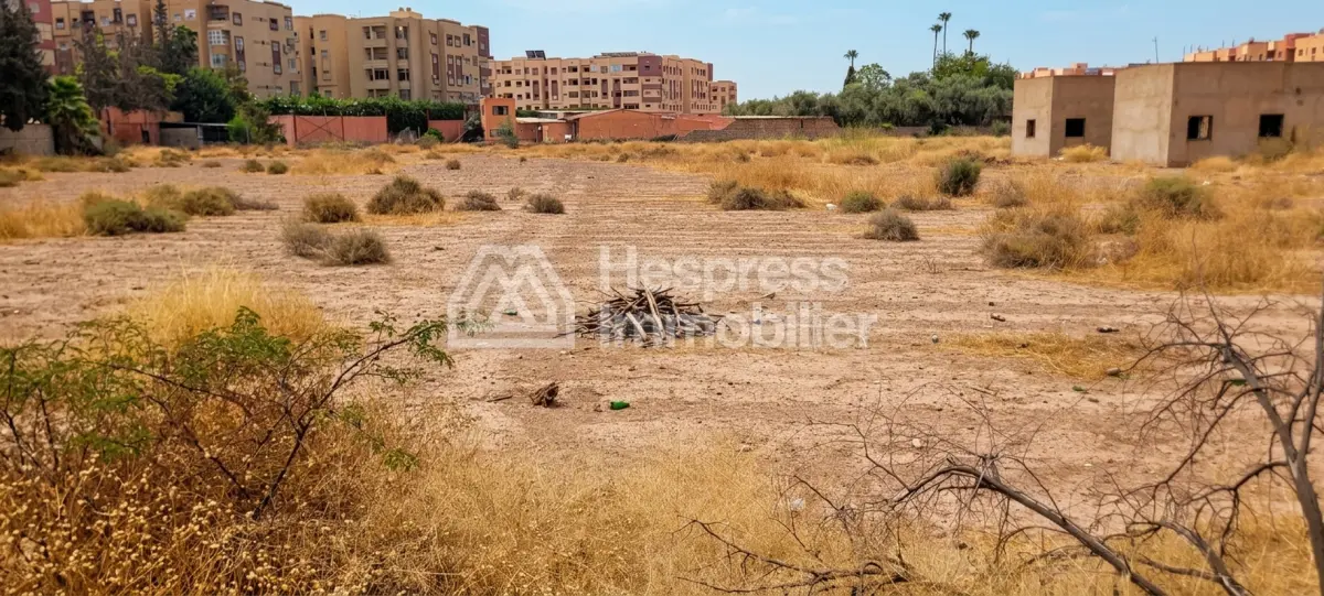 Vente terrain à Route d'Agadir Essaouira. Surface de 12000 m²