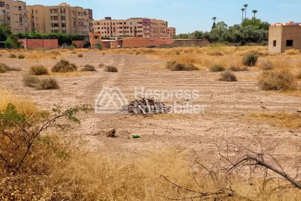 Vente terrain à Route d'Agadir Essaouira. Surface de 12000 m²