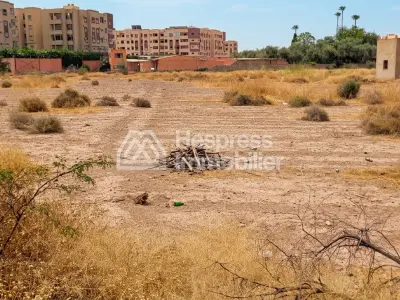 Vente terrain à Route d'Agadir Essaouira. Surface de 12000 m²